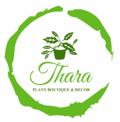 Screenshot-2025-07-07-115032